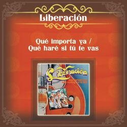 Cover of Qué Importa Ya / Que Haré Si Tú Te Vas