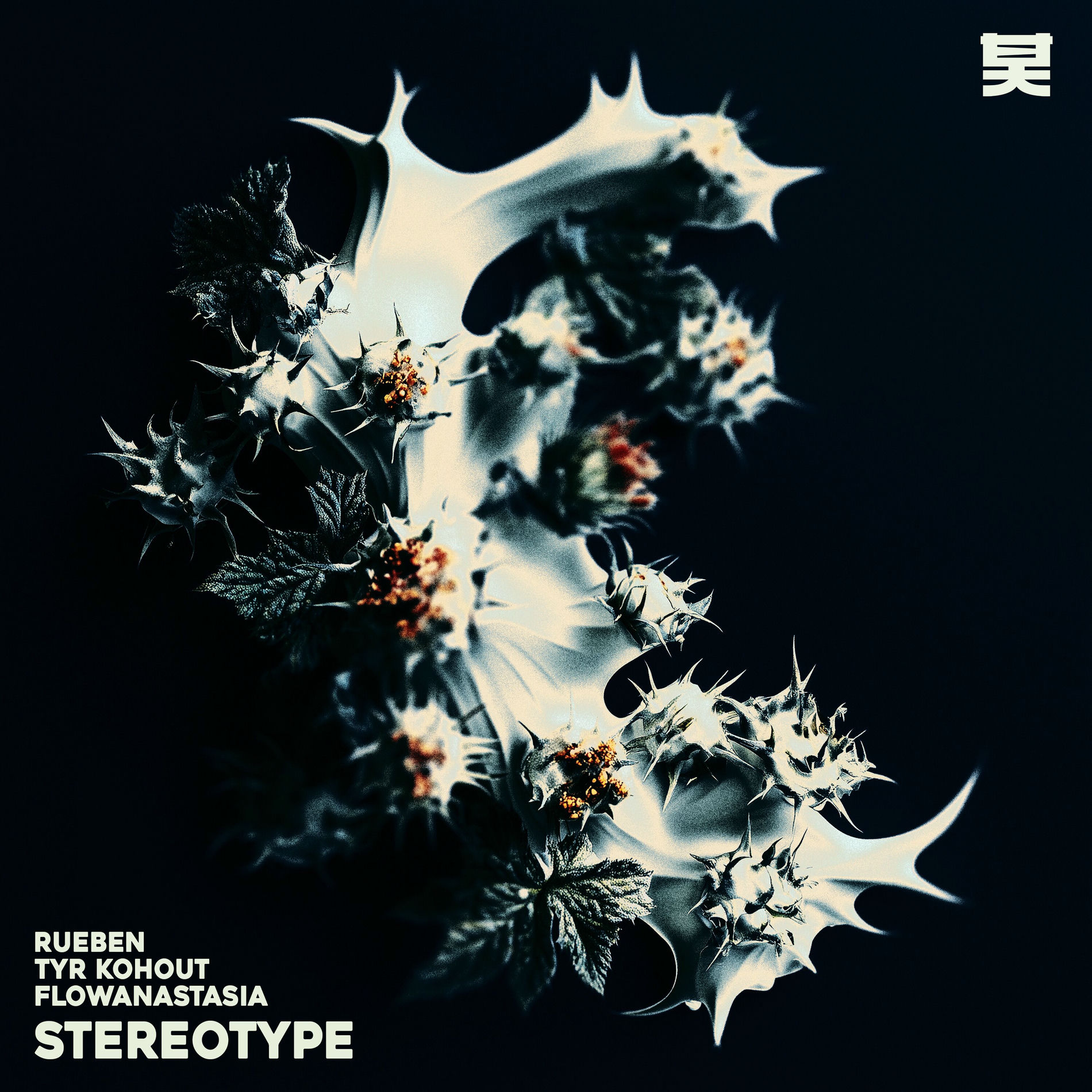 Album cover of Stereotype