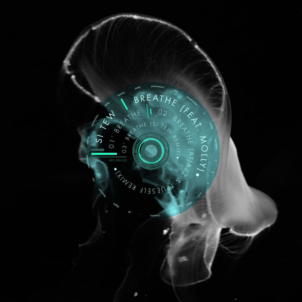 Picture of Breathe
