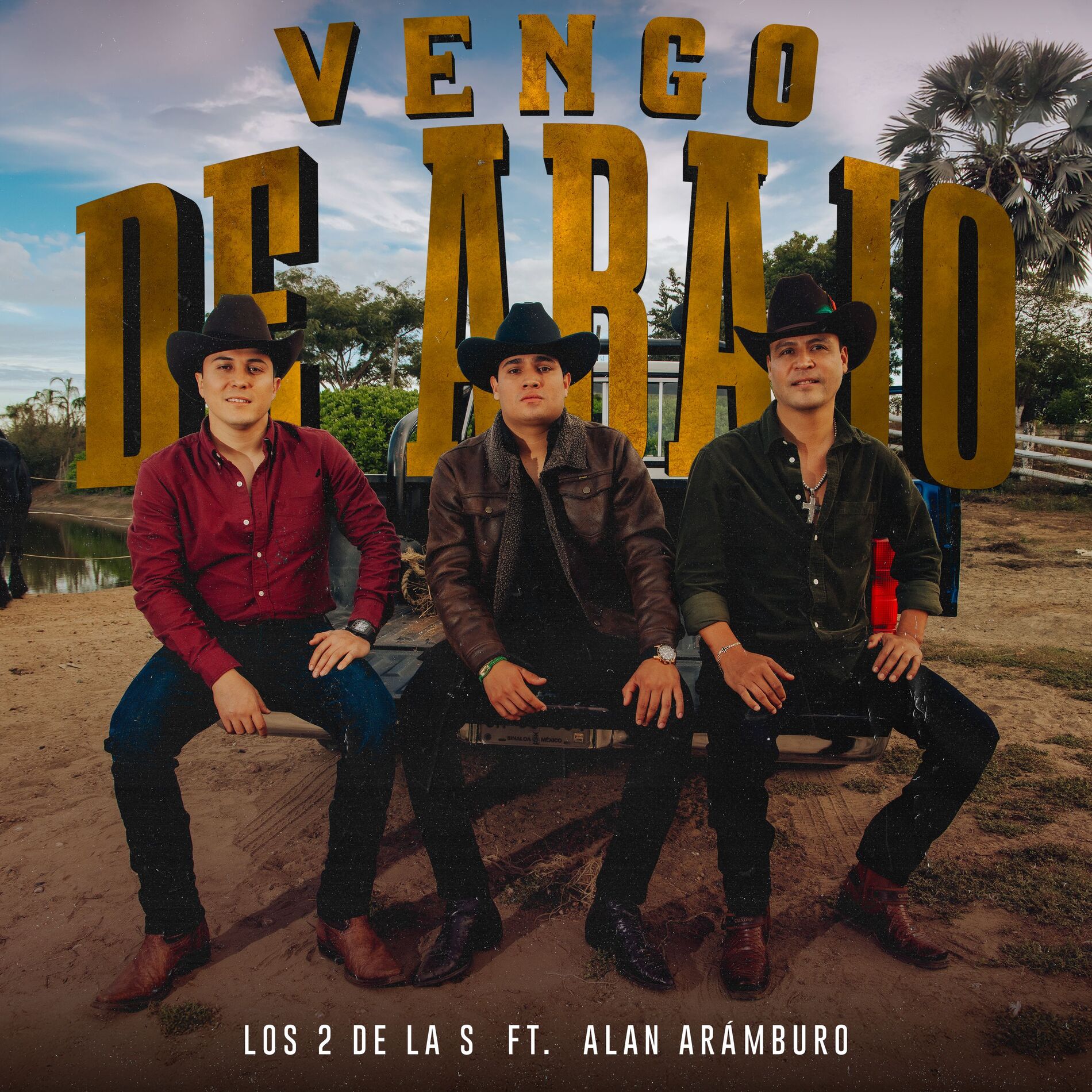 Album cover of Vengo de Abajo