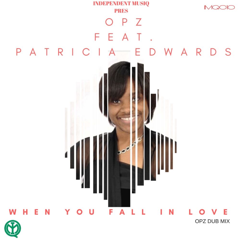 Picture of When You Fall In Love (Opz Dub Mix)