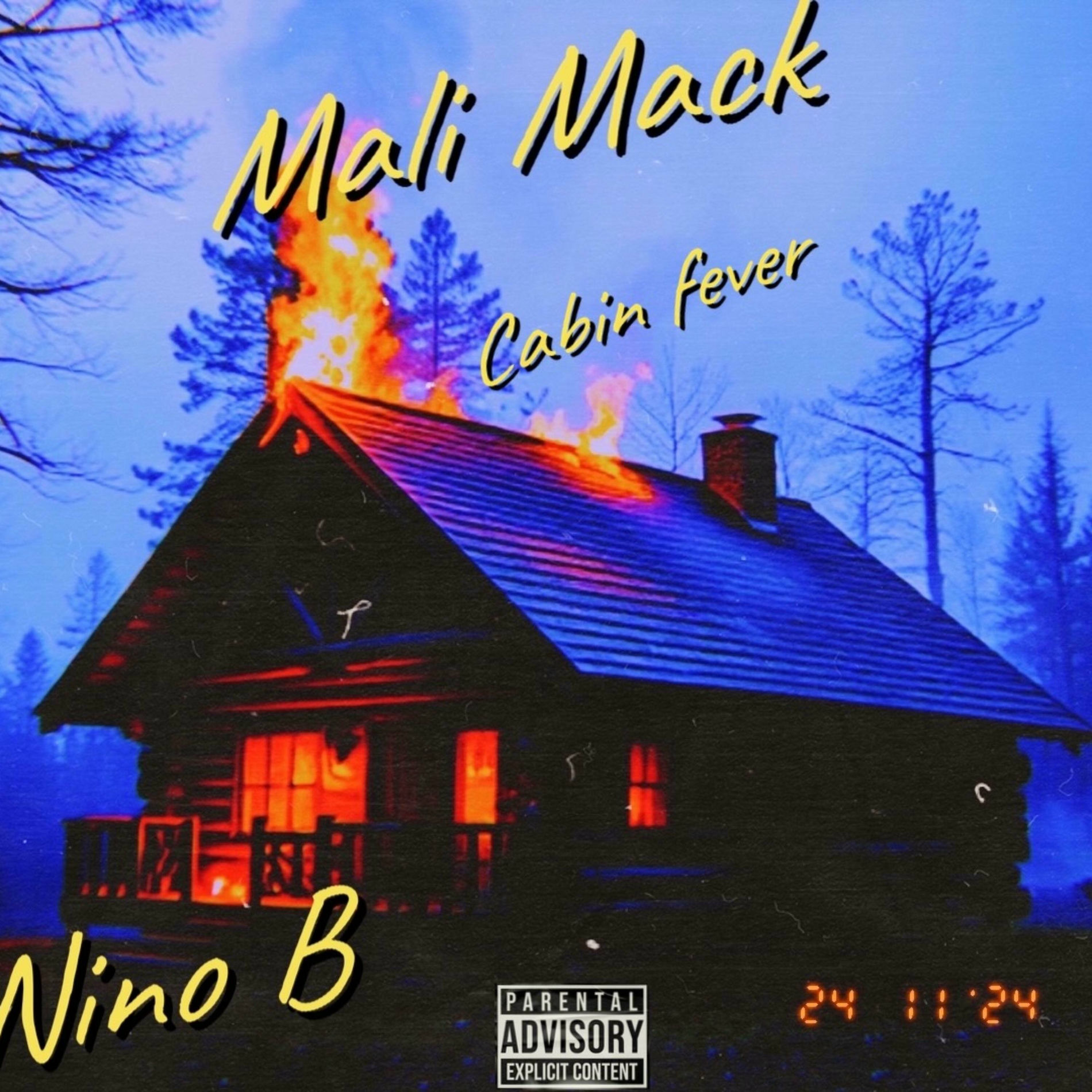 Album cover of CABIN FEVER