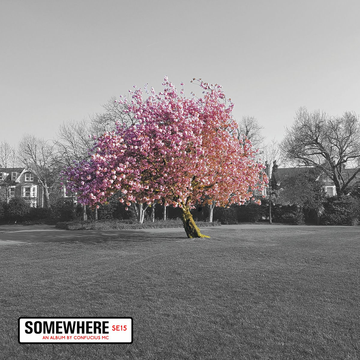 Album cover of Somewhere