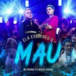 Cover of Ela Escolheu o Mau