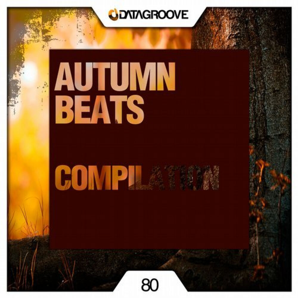 Picture of Autumn Beats