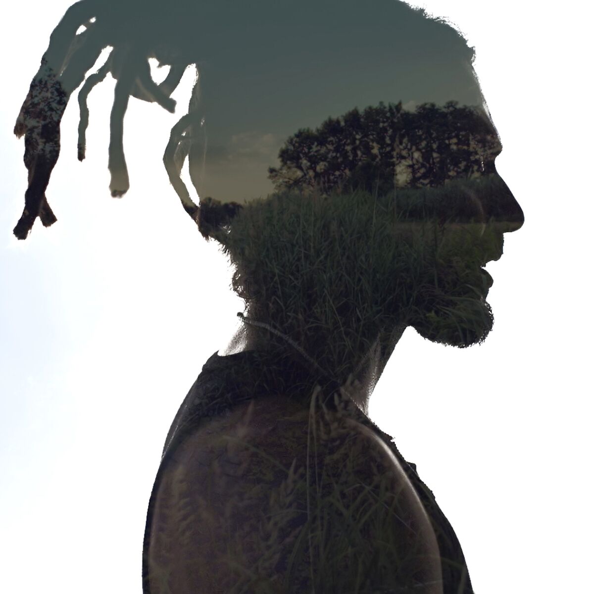 Album cover of Zapach lasu