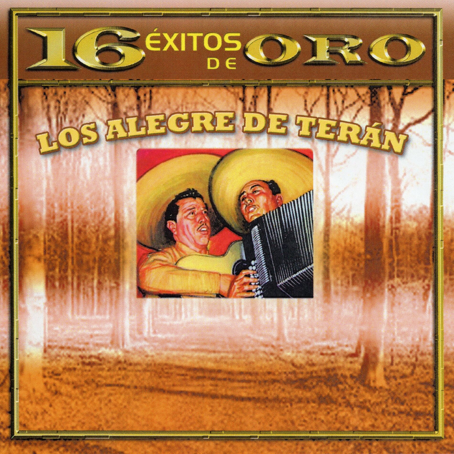 Album cover of 16 Exitos De Oro Vol. 1