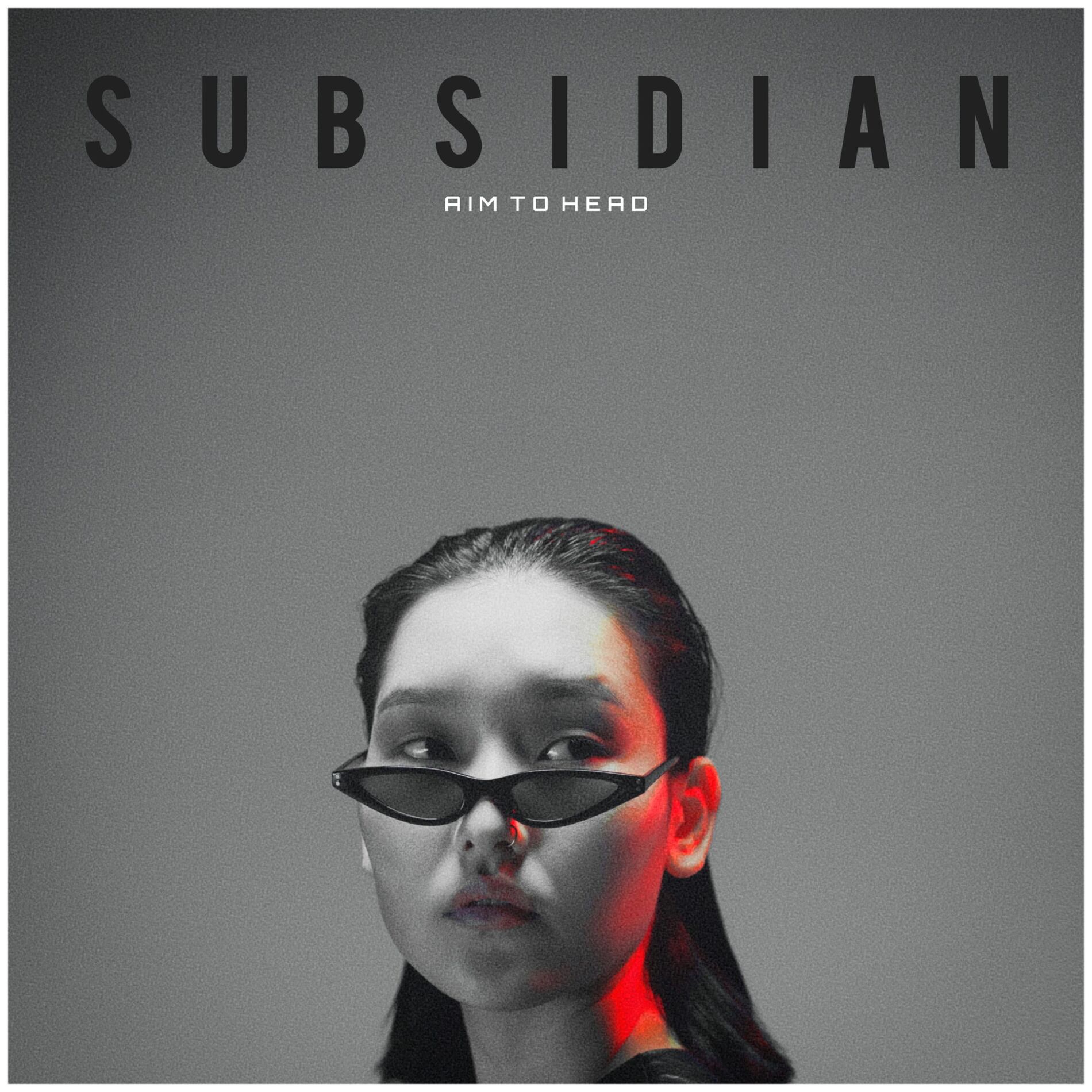 Album cover of Subsidian