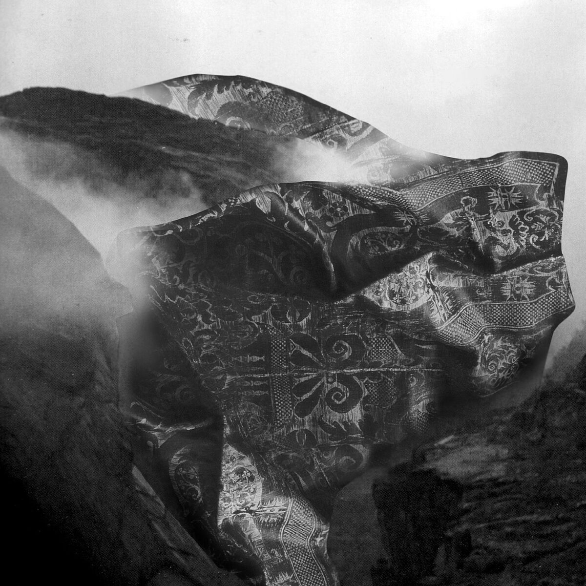Album cover of Pale Ravine