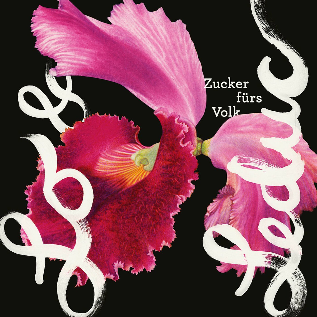 Album cover of Zucker fürs Volk