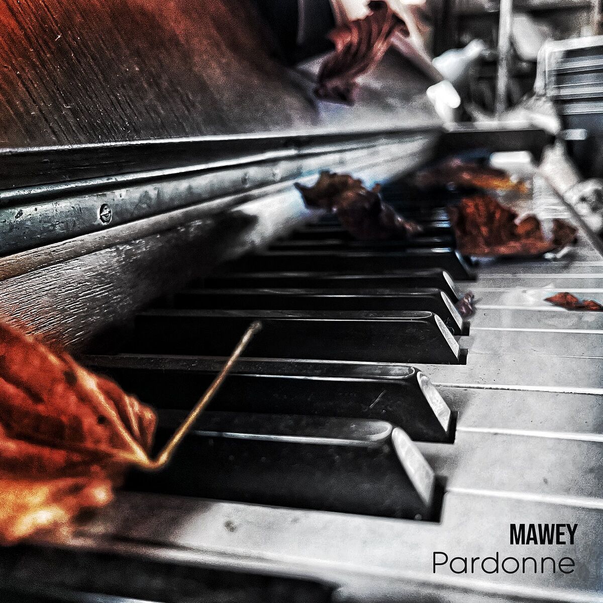 Album cover of Pardonne