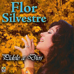 Cover of Pídele a Dios