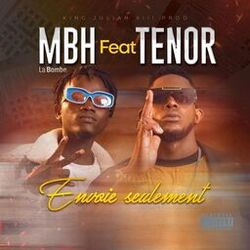 Cover of Envoie seulement