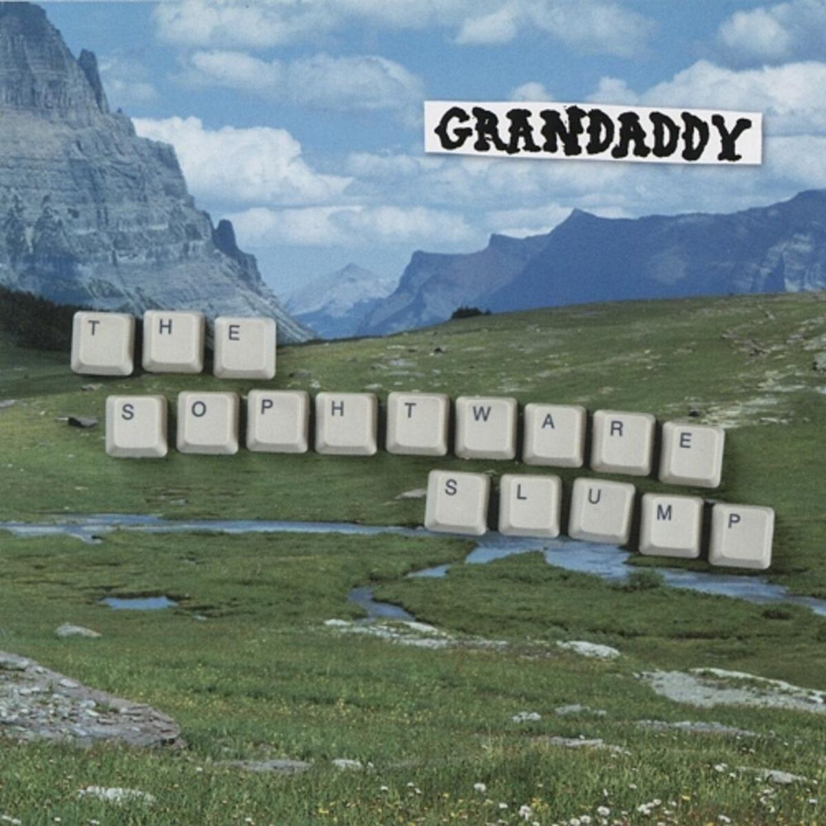 Album cover of The Sophtware Slump