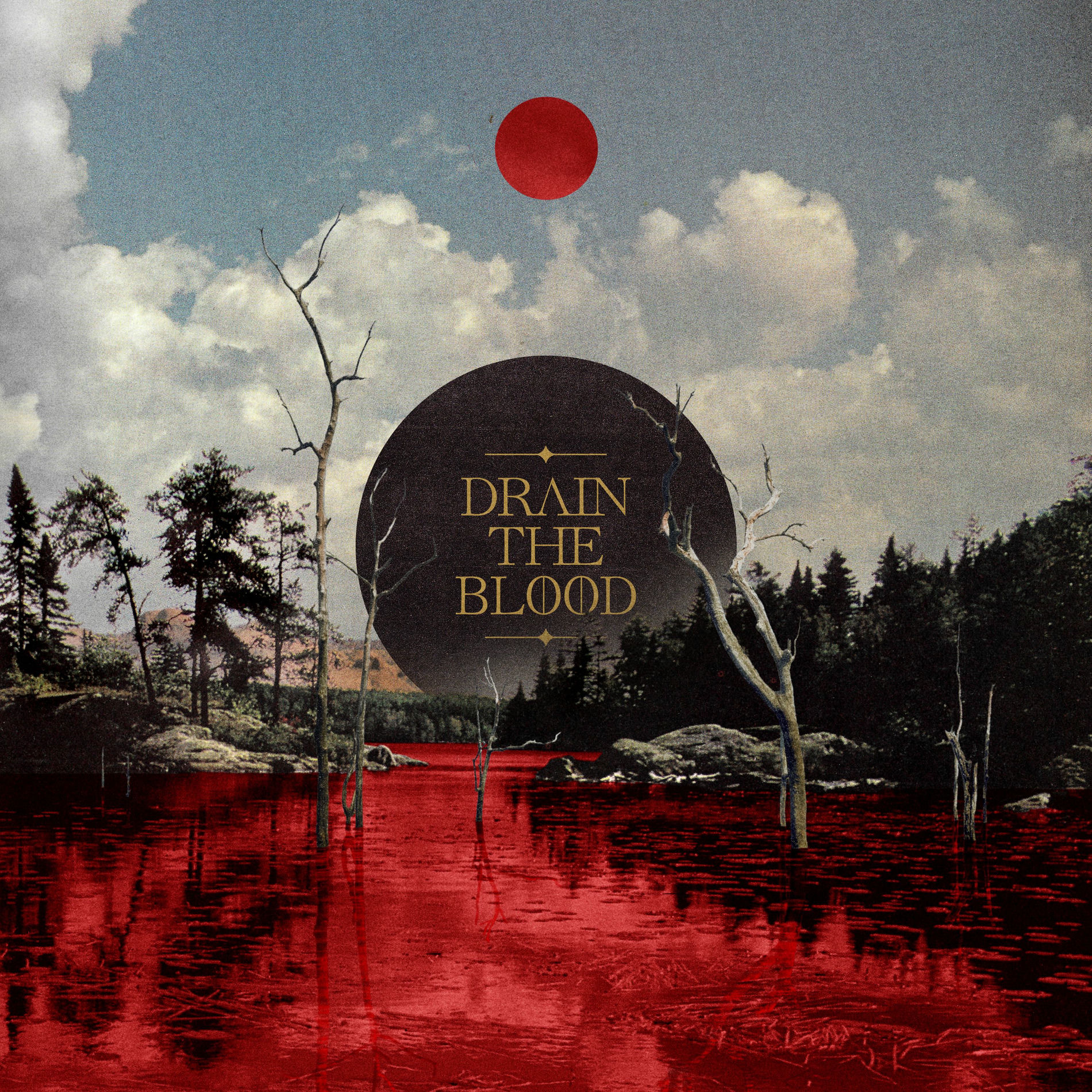 Album cover of Drain The Blood