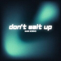 Cover of Don't Wait Up