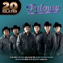 Cover of 20 Kilates