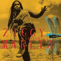 Cover of Dragonfly