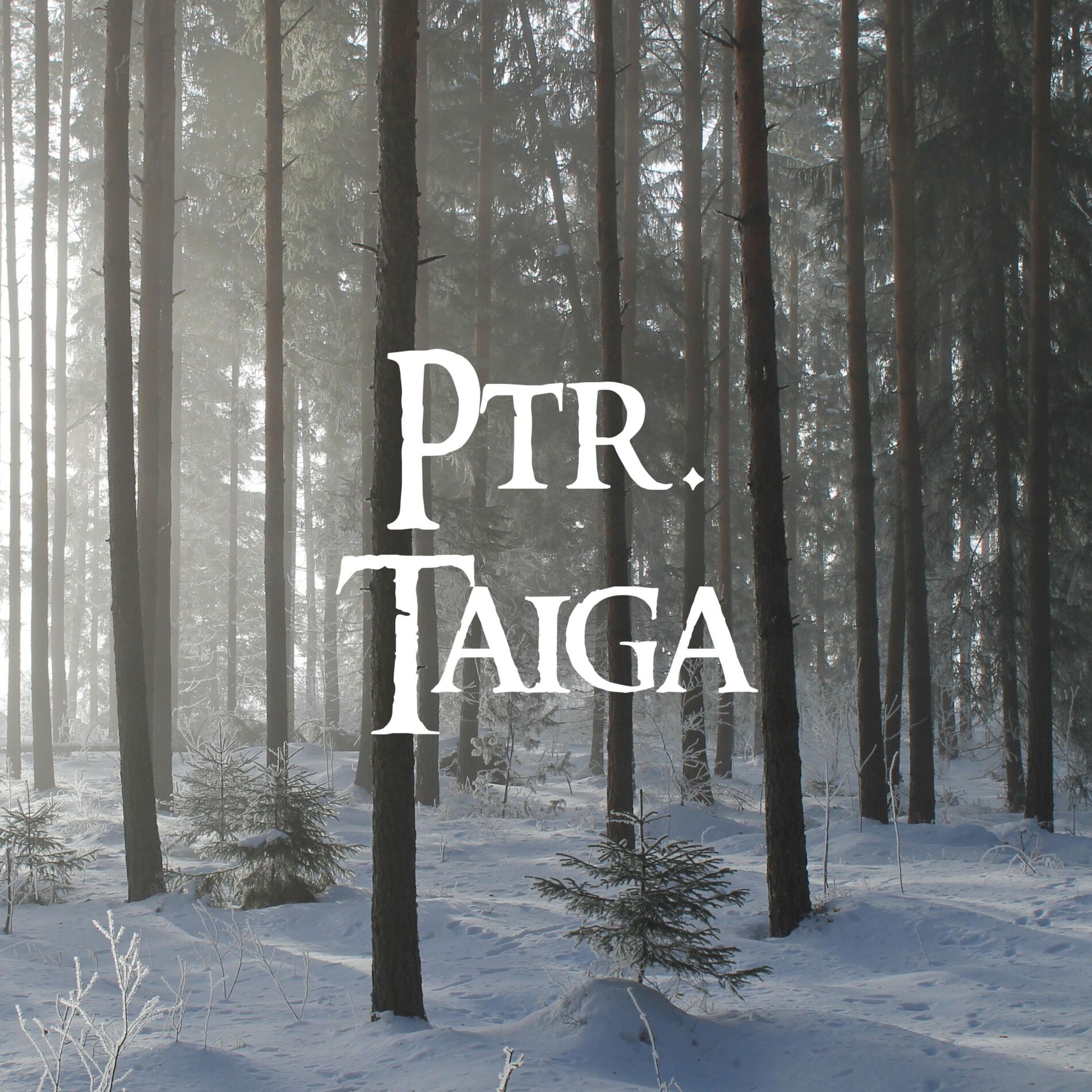 Album cover of Taiga