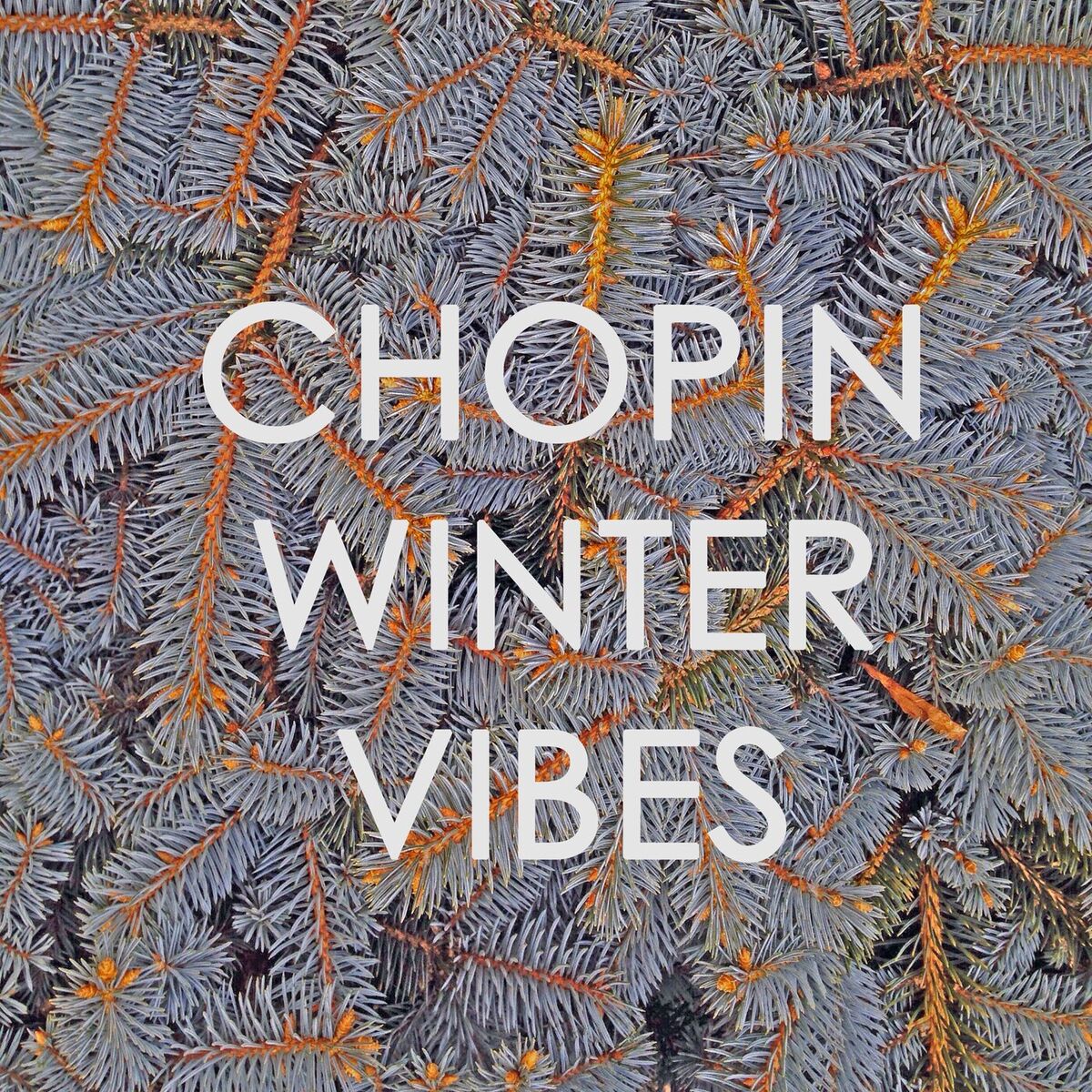 Album cover of Chopin - Winter Vibes