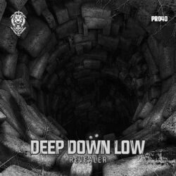Cover of Deep Down Low
