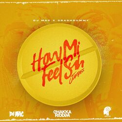 Cover of How Mi Feel Suh