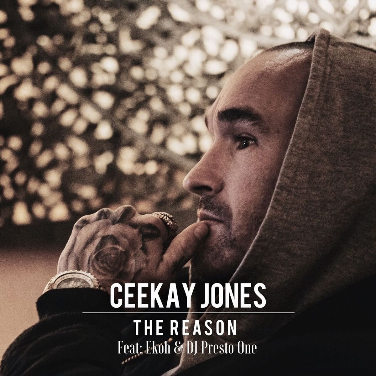 Album cover of The Reason