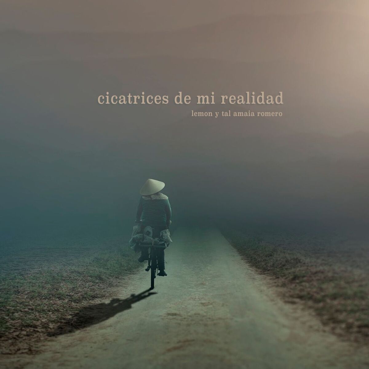 Album cover of Cicatrices de Mi Realidad