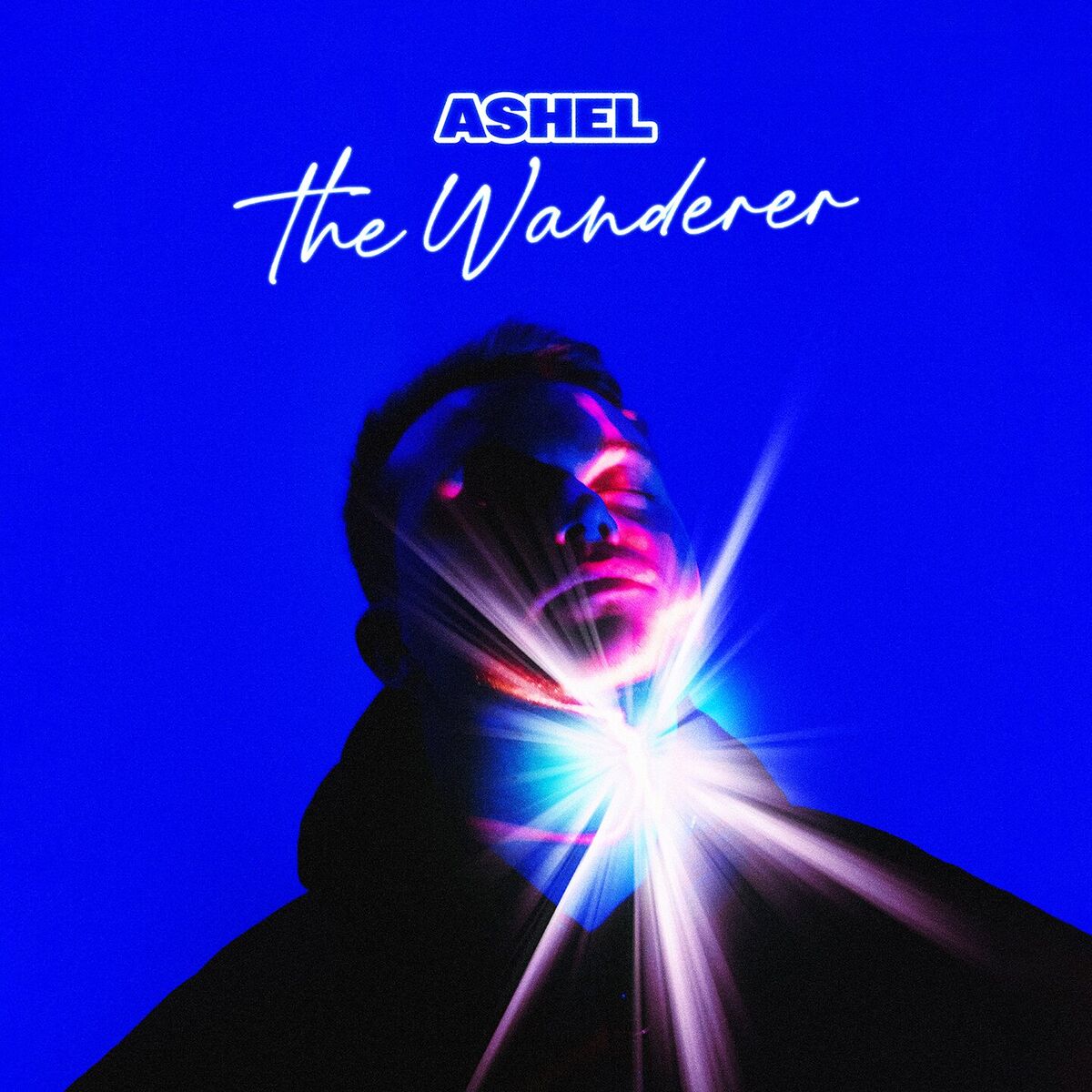 Album cover of The Wanderer