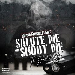 Cover of Salute Me or Shoot Me: The Extended Clip