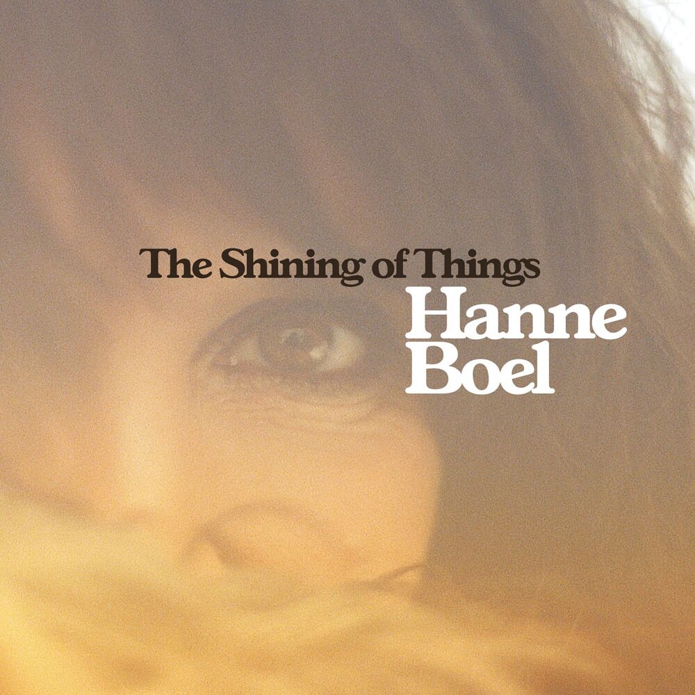 Picture of The Shining Of Things