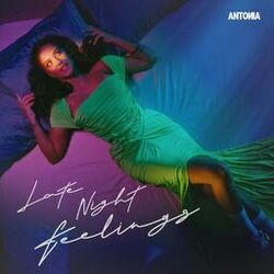 Cover of Late Night Feelings