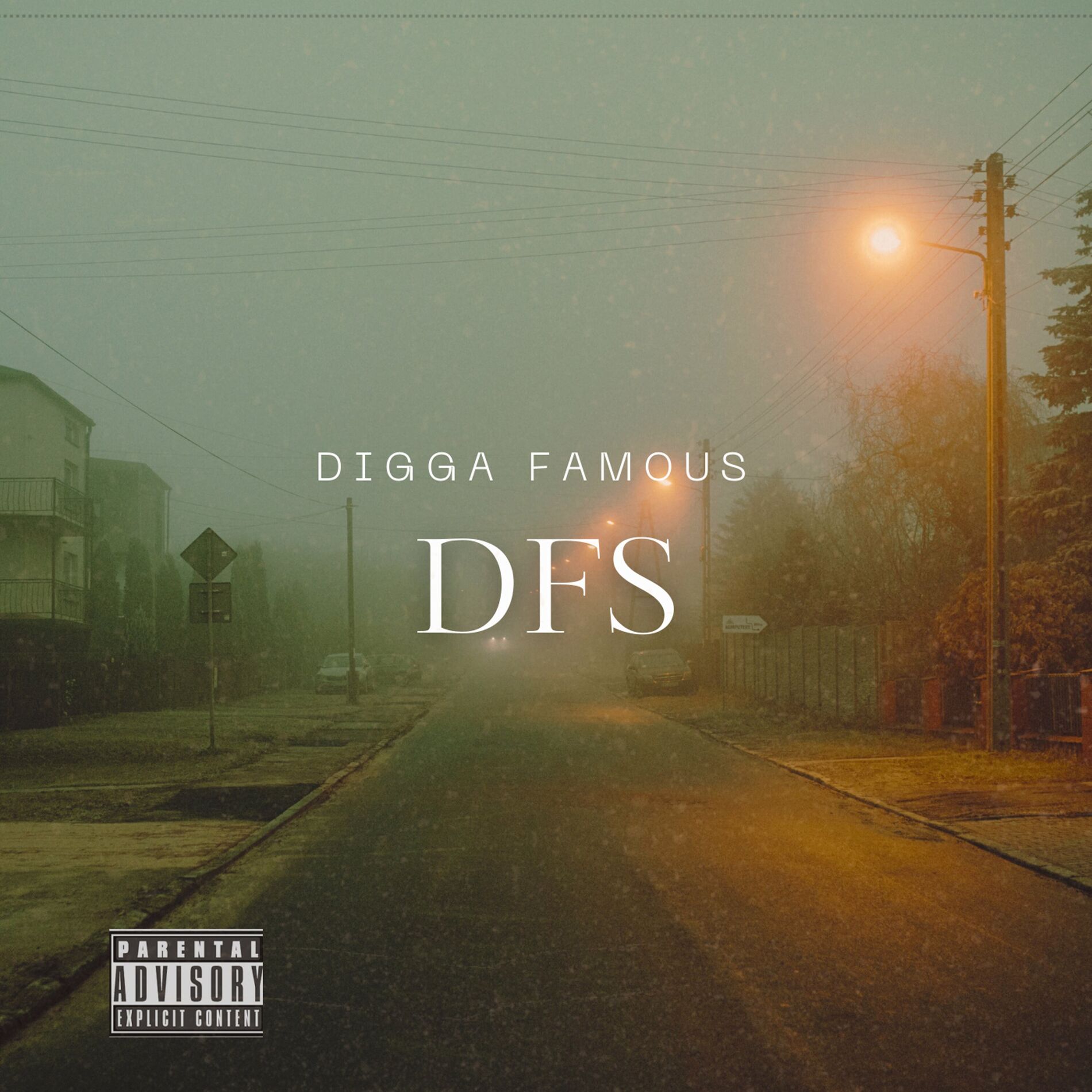Album cover of DFS