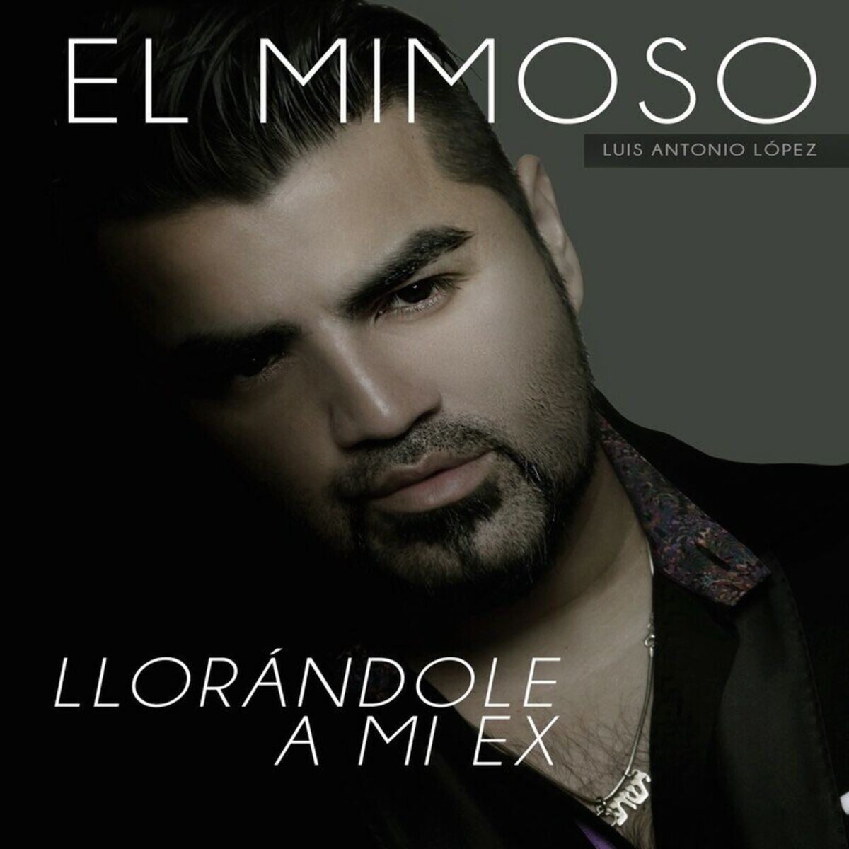 Album cover of Llorándole A Mi Ex