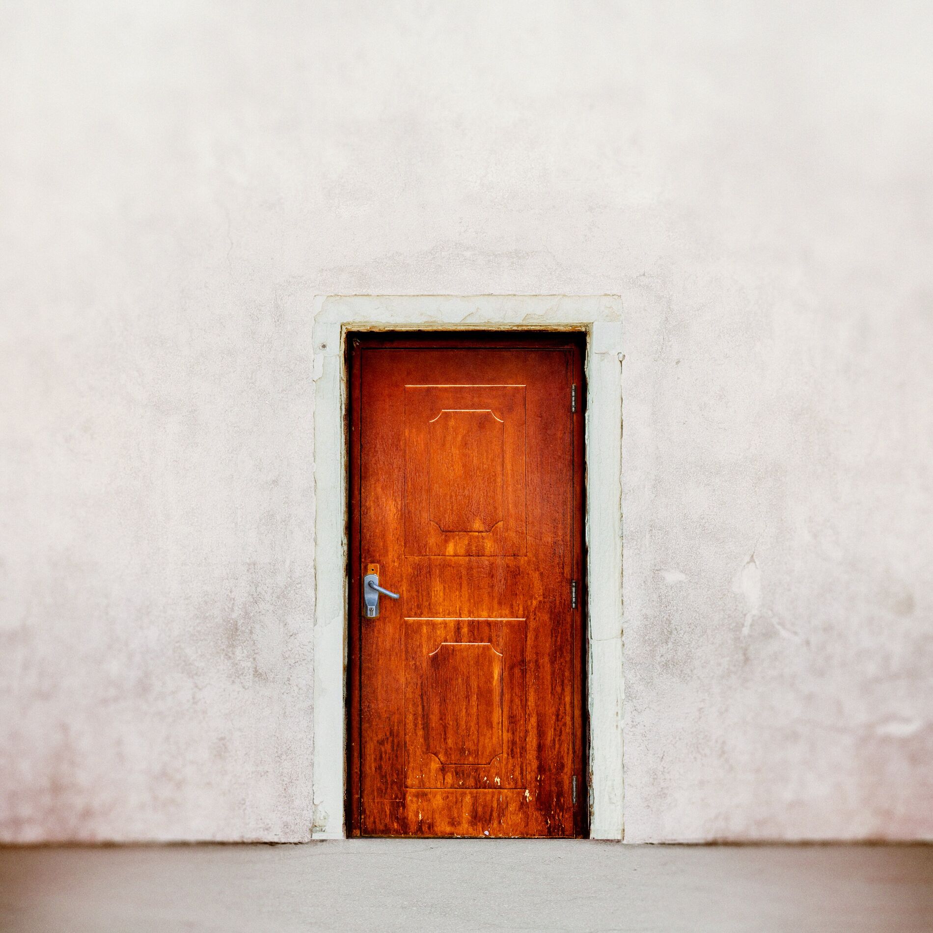 Album cover of The Door