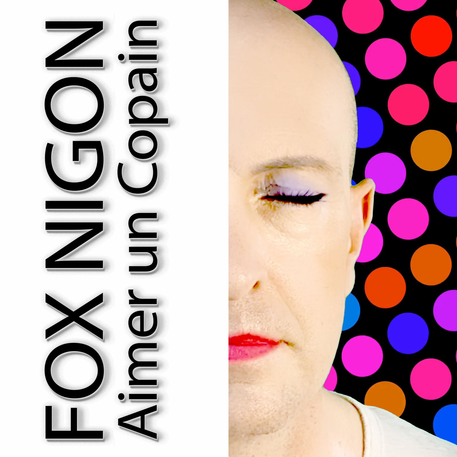 Album cover of Aimer un copain