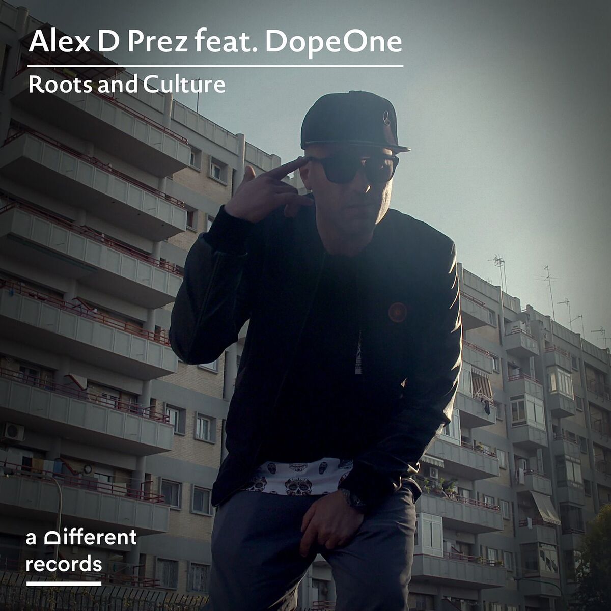 Album cover of Roots and Culture