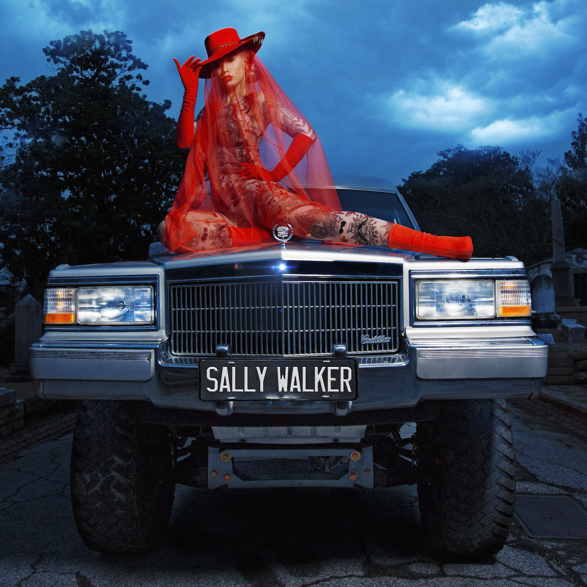 Album cover of Sally Walker