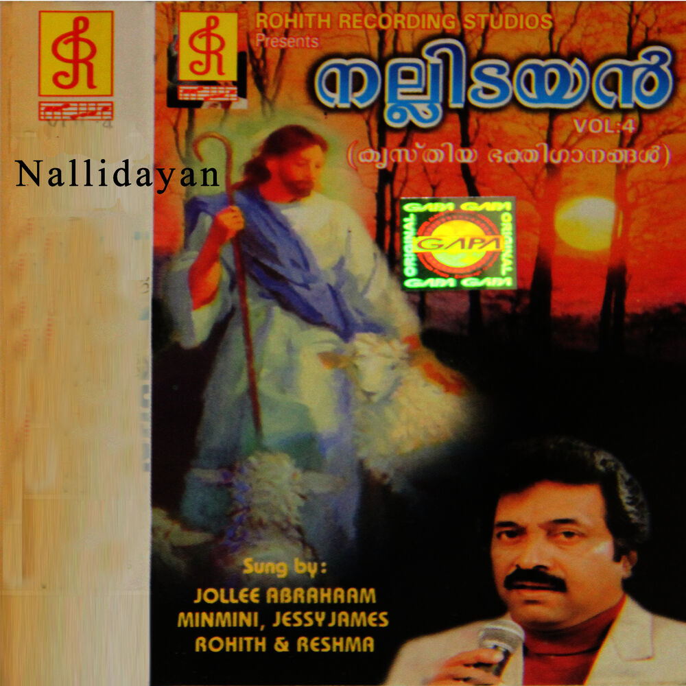 Picture of Nallidayan, Vol. 4