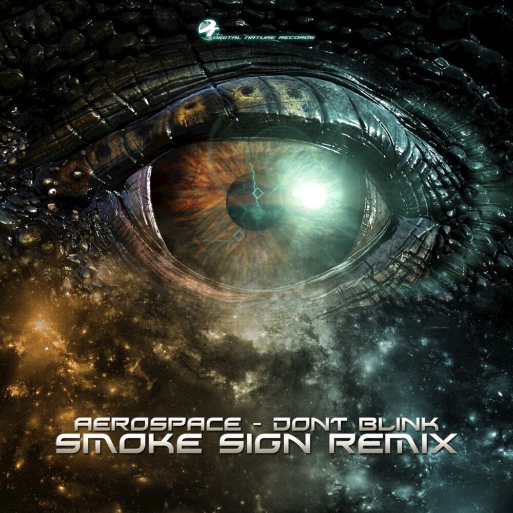 Picture of Don't Blink (Smoke Sign Remix)