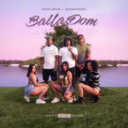Cover of Baila Dom
