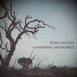 Cover of Vanishing Memories