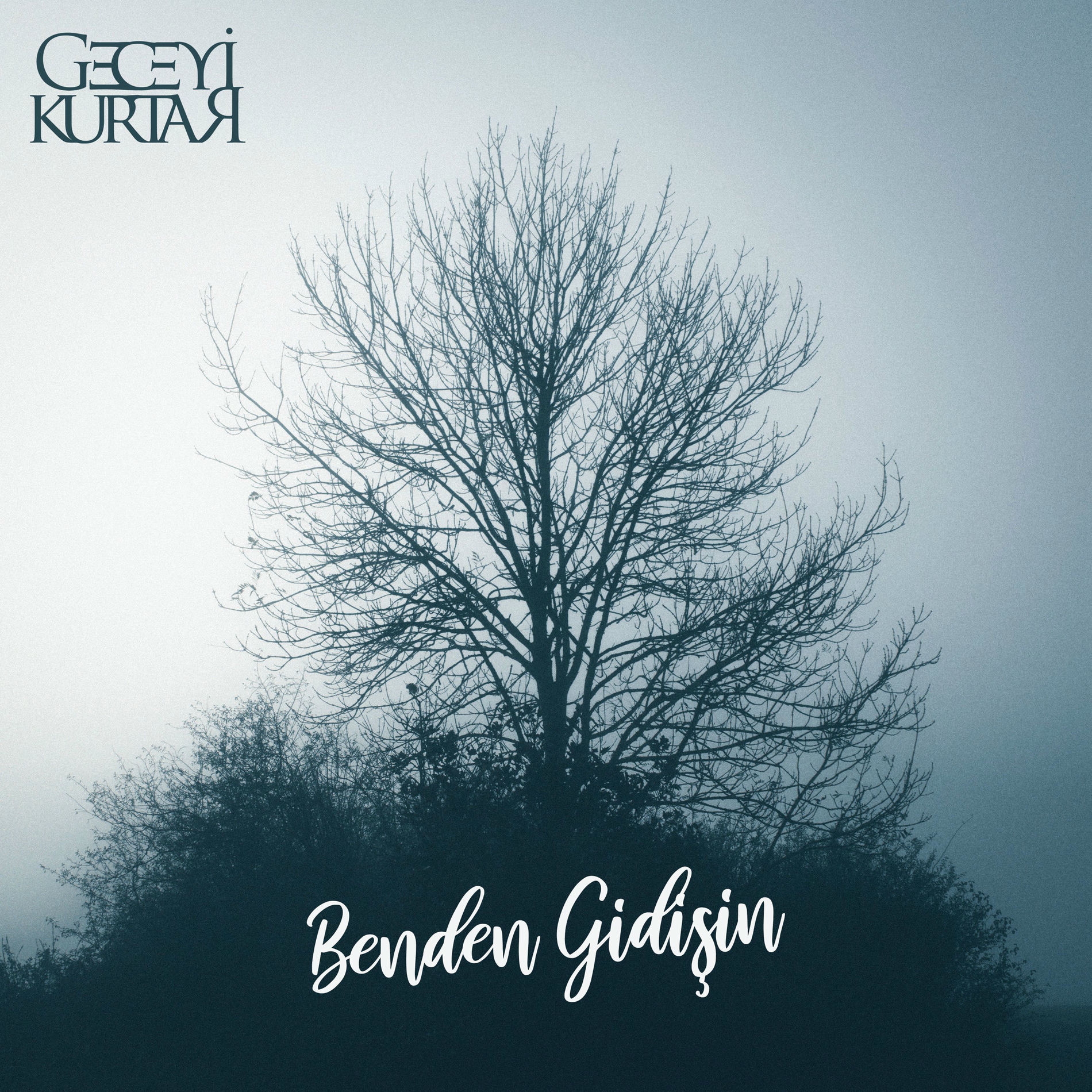 Album cover of Benden Gidişin