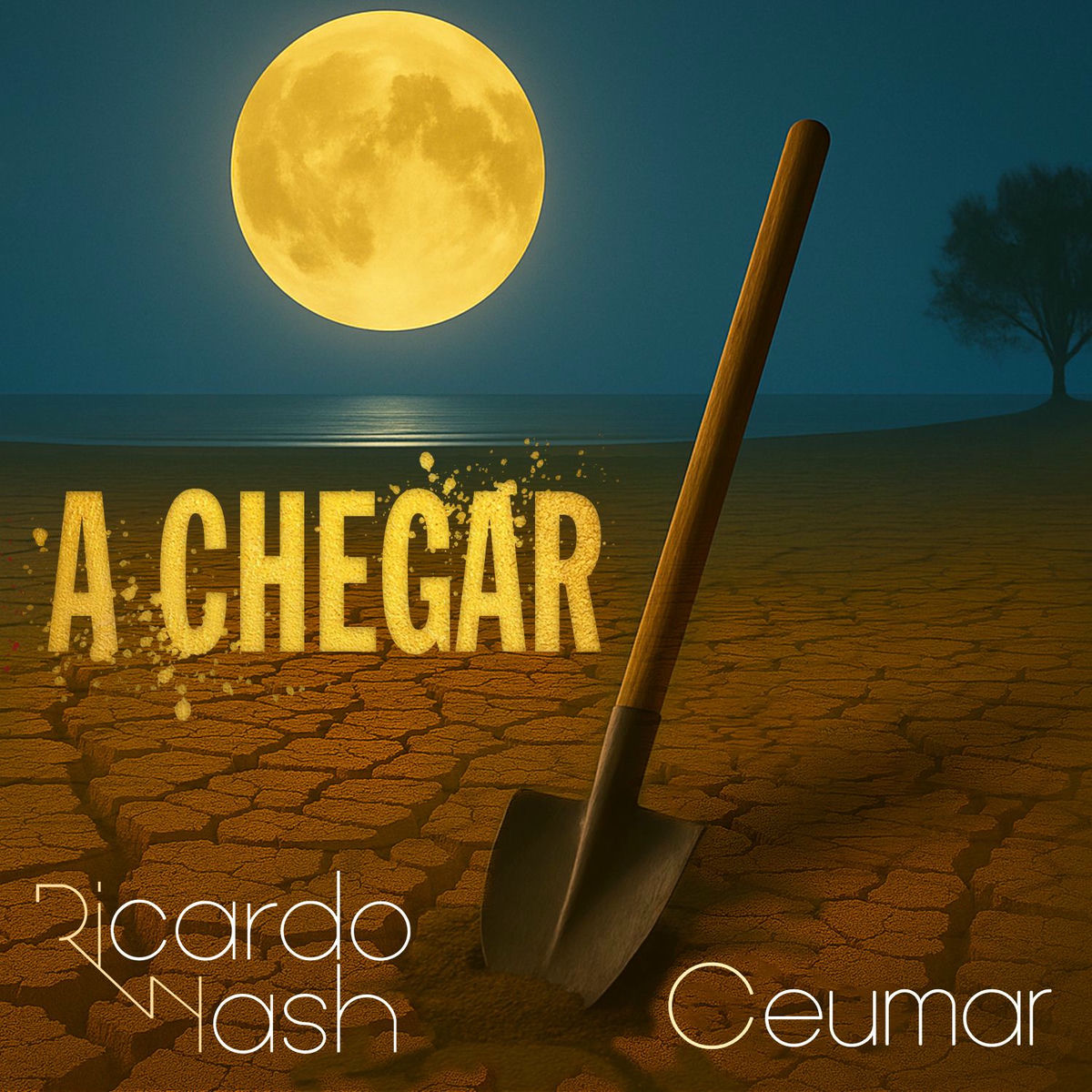 Album cover of A Chegar