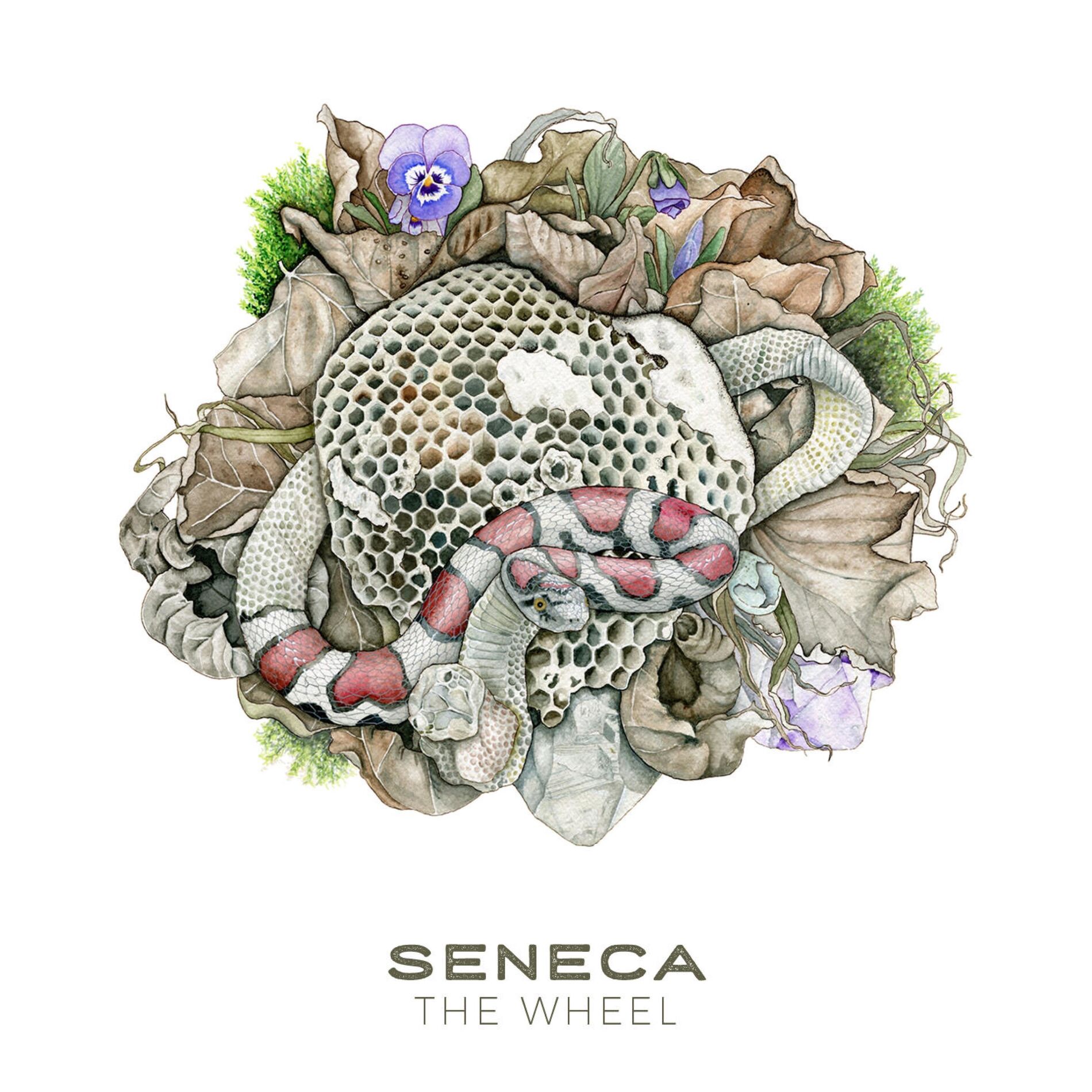 Album cover of The Wheel