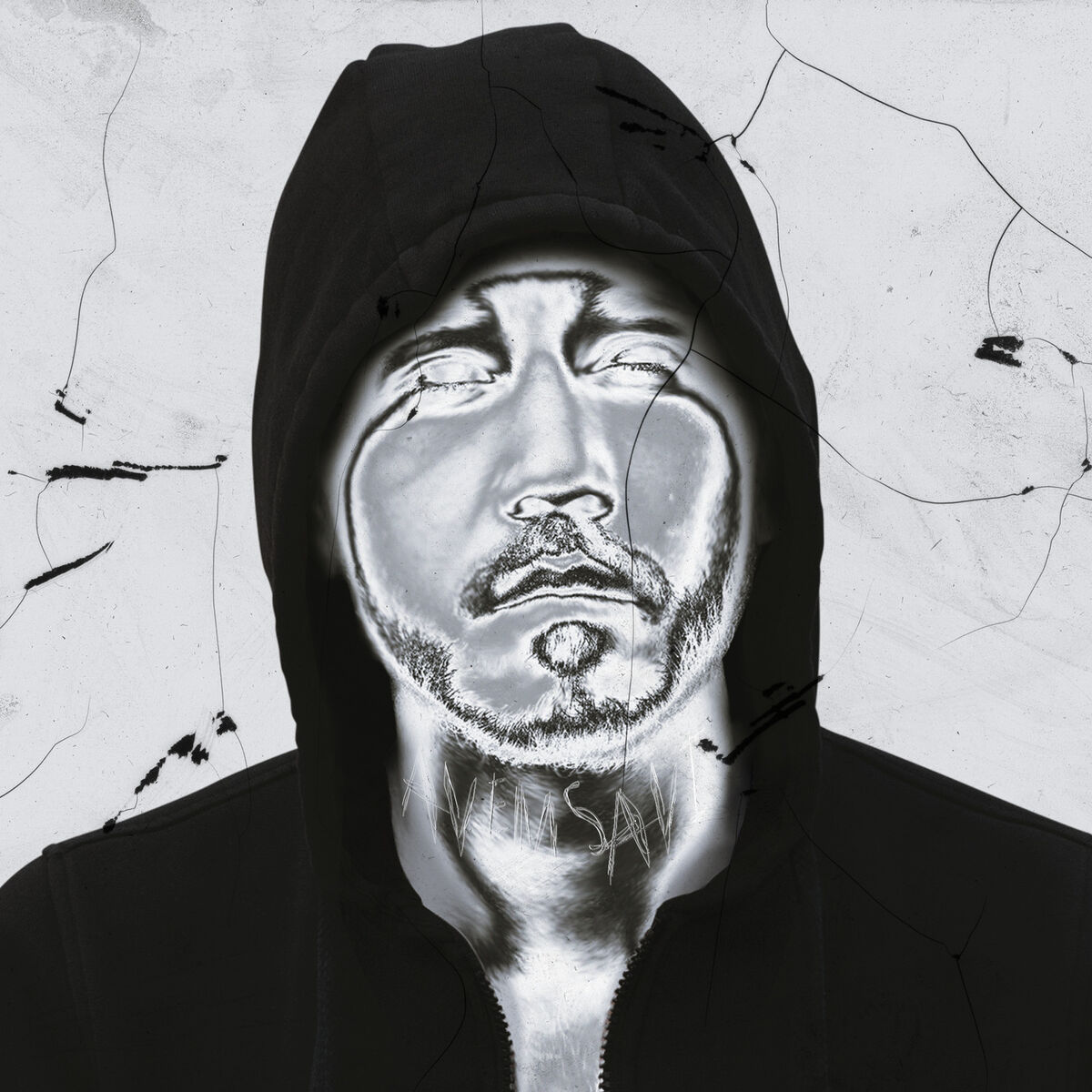 Album cover of AVEMSAVI