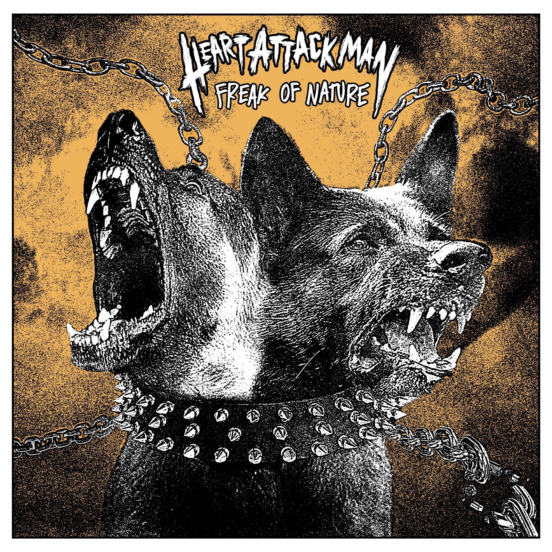 Album cover of Freak of Nature