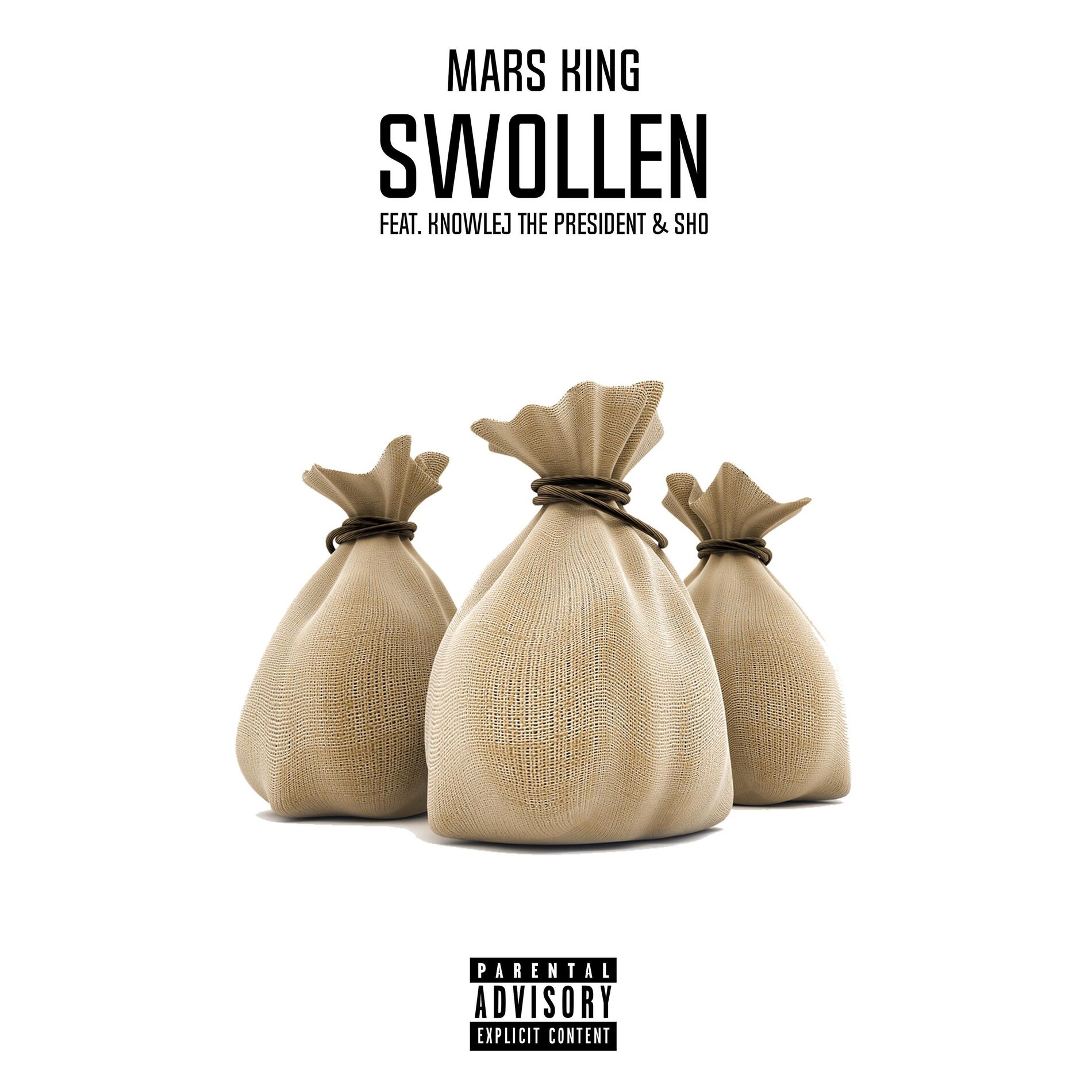 Album cover of Swollen (feat. Knowlej the President & Sho)