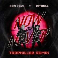 Cover of Now Or Never (TropKillaz Remix)