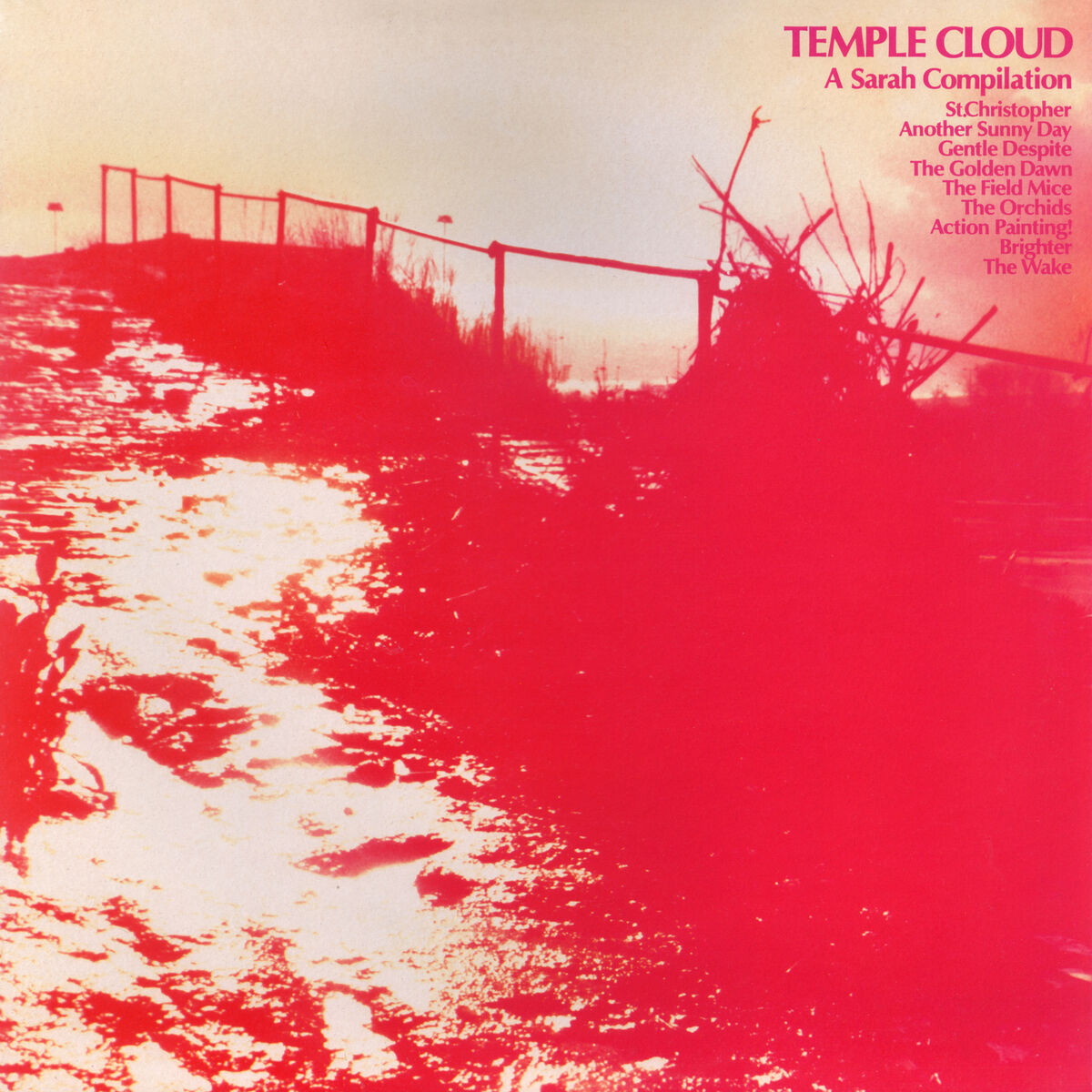 Album cover of Temple Cloud
